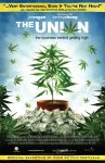 Sindicatul – Industria marijuanei