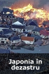 Japonia în dezastru. Tsunami-ul de la Fukushima